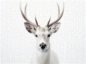 Produktbild: CALVENDO Puzzle Ein Motiv aus dem Kalender "Only white animals" | 1000 Teile Lege-Gr&ouml;&szlig;e 64x48cm Foto-Puzzle f&uuml;r gl&uuml;ckliche Stunden
