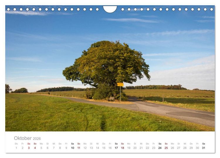 Produktbild: Wundersch&ouml;ne B&auml;ume im Sauerland (Wandkalender 2026 DIN A4 quer), CALVENDO Monatskalender