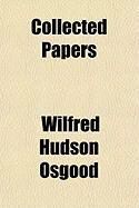Produktbild: Collected Papers
