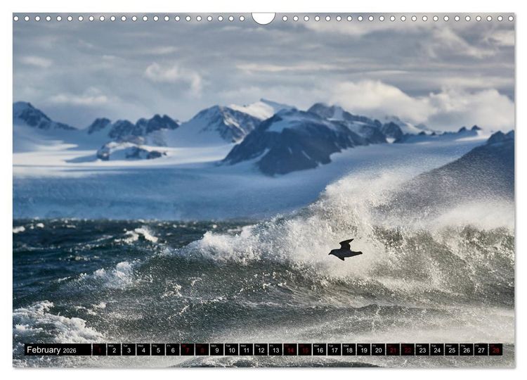 Produktbild: Impressions of Svalbard (Wall Calendar 2026 DIN A3 landscape), CALVENDO 12 Month Wall Calendar