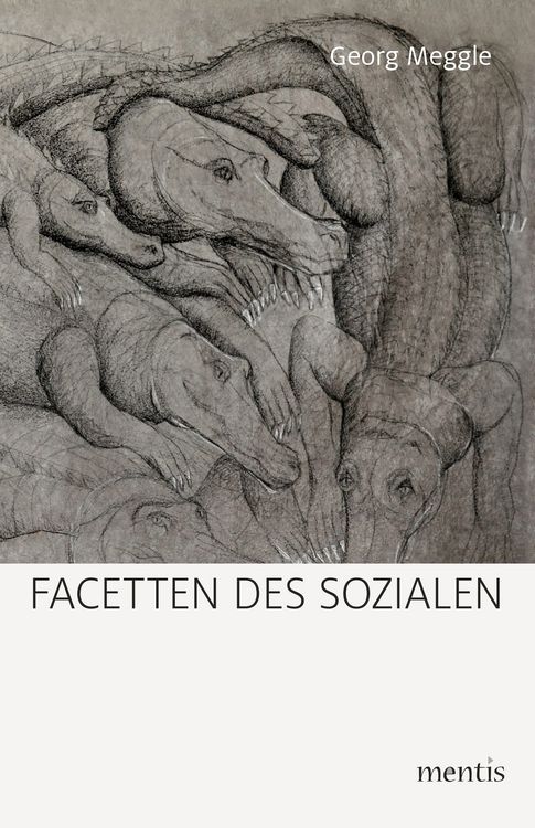 Produktbild: Facetten des Sozialen