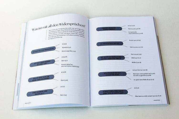 Produktbild: Das Bibellesebuch zu Prediger