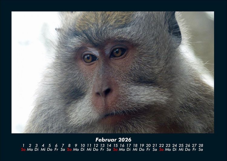 Produktbild: Indonesien 2026 Fotokalender DIN A4