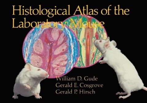 Produktbild: Histological Atlas of the Laboratory Mouse