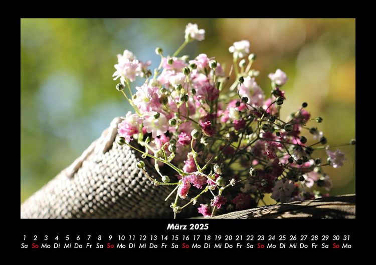 Produktbild: Blumenzauber 2025 Fotokalender DIN A3