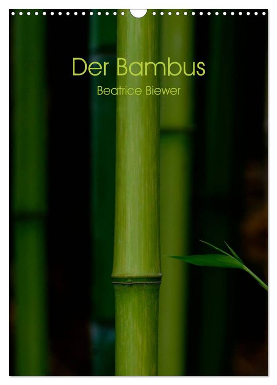 Produktbild: Der Bambus (Wandkalender 2026 DIN A3 hoch), CALVENDO Monatskalender