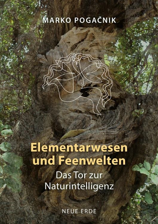 Produktbild: Elementarwesen und Feenwelten