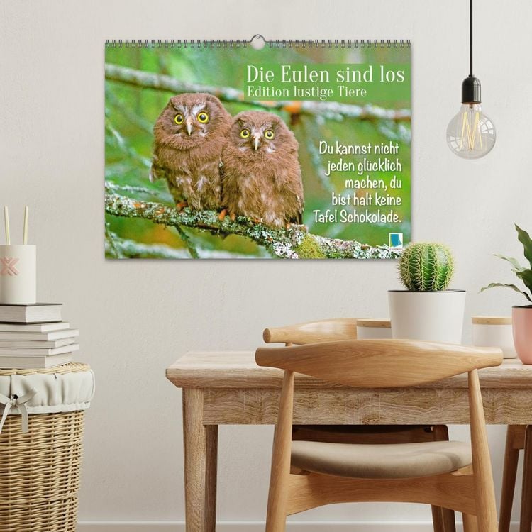 Produktbild: Die Eulen sind los: Edition lustige Tiere (Wandkalender 2026 DIN A3 quer), CALVENDO Monatskalender