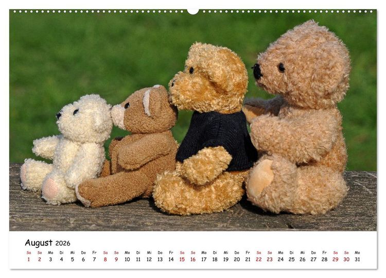 Produktbild: Allerliebste Teddyb&auml;ren (hochwertiger Premium Wandkalender 2026 DIN A2 quer), Kunstdruck in Hochglanz