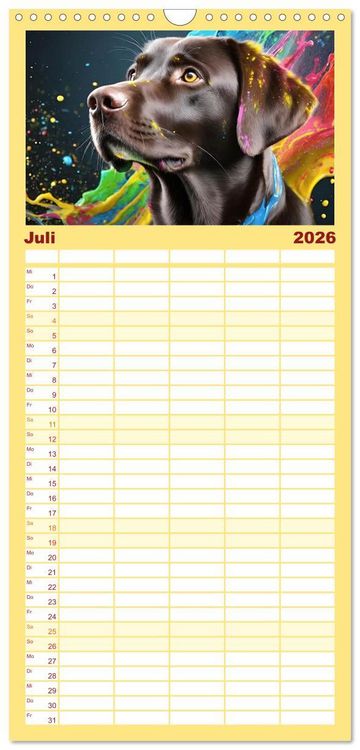 Produktbild: Familienplaner 2026 - Splash - Hunde im Farbrausch mit 5 Spalten (Wandkalender, 21 x 45 cm) CALVENDO