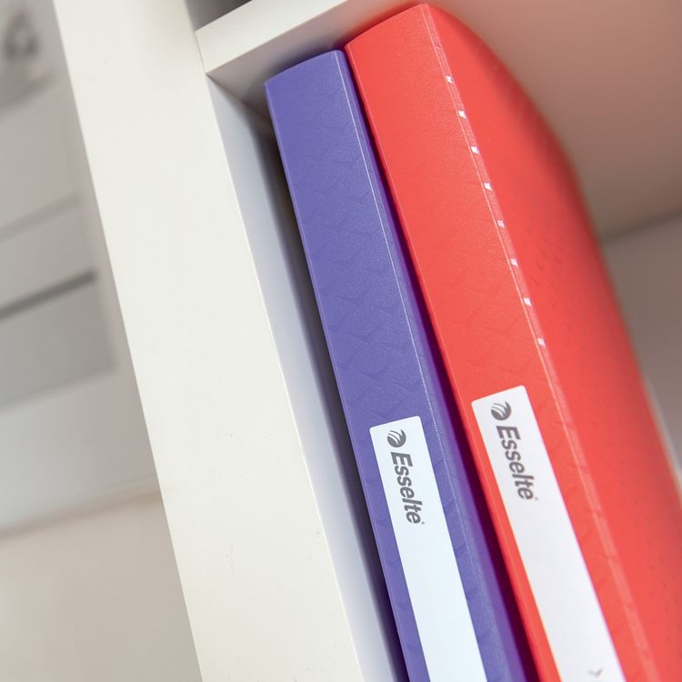 Produktbild: LEITZ Sichtbuch Colour'Breeze 40 H&uuml;llen koralle DIN A4