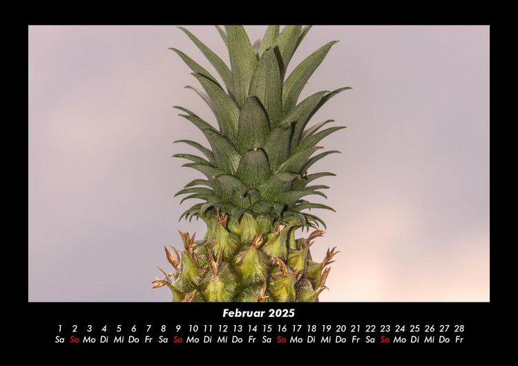 Produktbild: Obstkalender 2025 Fotokalender DIN A3