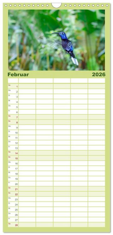 Produktbild: Familienplaner 2026 - Costa Rica - Tierwelt und Landschaften mit 5 Spalten (Wandkalender, 21 x 45 cm) CALVENDO