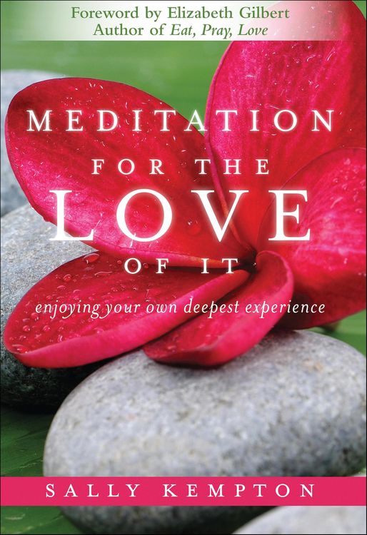 Produktbild: Meditation for the Love of It