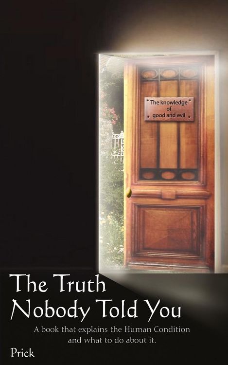 Produktbild: The Truth Nobody Told You