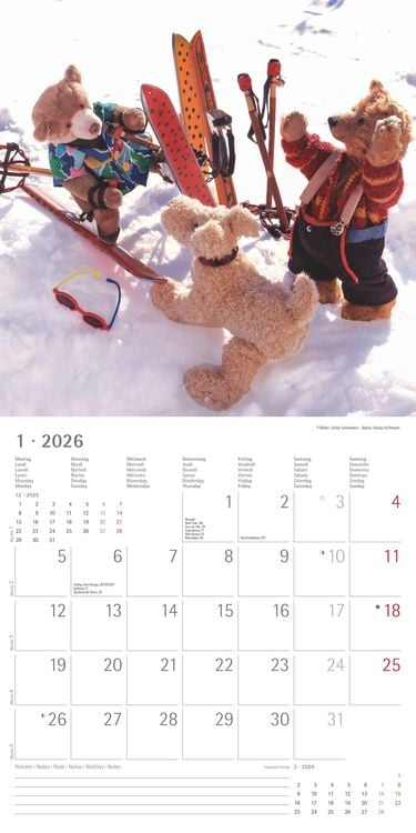 Produktbild: Teddy 2026 - Broschürenkalender 30x30 cm (30x60 geöffnet) - Kalender mit Platz für Notizen - Bildkalender - Wandkalender - mit herausnehmbarem Poster