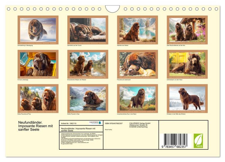 Produktbild: Neufundl&auml;nder. Imposante Riesen mit sanfter Seele (Wandkalender 2026 DIN A4 quer), CALVENDO Monatskalender