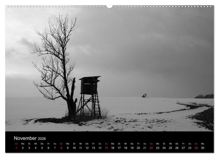 Produktbild: B&auml;ume trees 2026 (hochwertiger Premium Wandkalender 2026 DIN A2 quer), Kunstdruck in Hochglanz