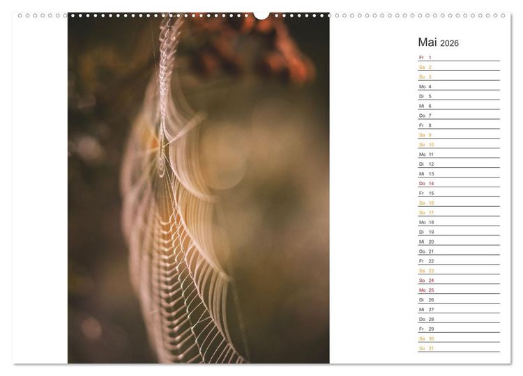 Produktbild: Kleine Wunder vor der Haust&uuml;r (hochwertiger Premium Wandkalender 2026 DIN A2 quer), Kunstdruck in Hochglanz