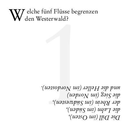 Produktbild: Westerwald-Quiz