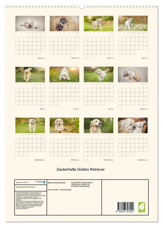 Produktbild: Zauberhafte Golden Retriever (hochwertiger Premium Wandkalender 2026 DIN A2 hoch), Kunstdruck in Hochglanz