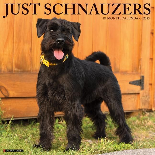 Produktbild: Schnauzers 2026 Wall Calendar