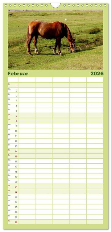 Produktbild: Familienplaner 2026 - T&ouml;werland Juist mit 5 Spalten (Wandkalender, 21 x 45 cm) CALVENDO