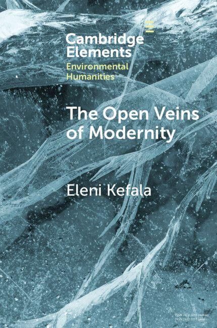 Produktbild: The Open Veins of Modernity