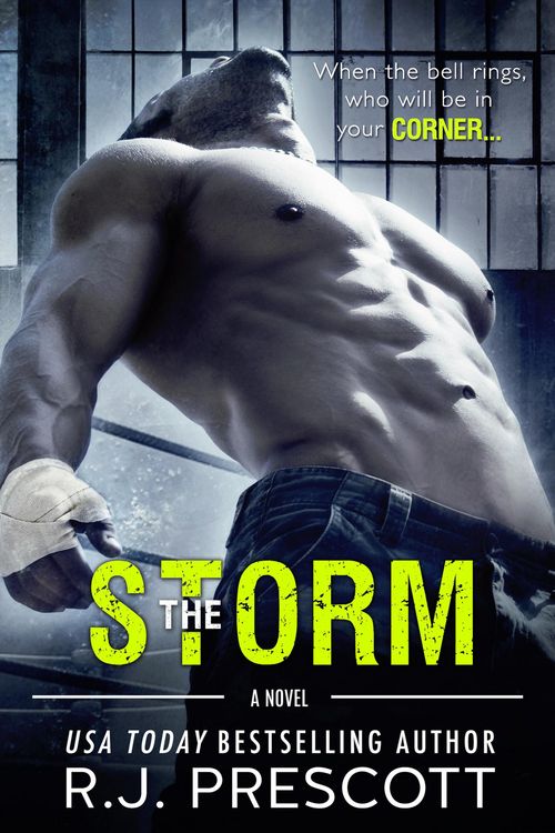 Produktbild: The Storm