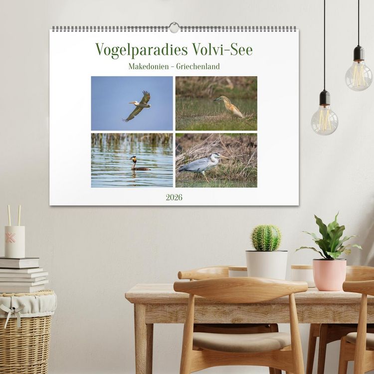 Produktbild: Vogelparadies Volvi-See (Wandkalender 2026 DIN A2 quer), CALVENDO Monatskalender