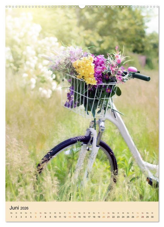 Produktbild: Landhaus Tr&auml;umereien (Wandkalender 2026 DIN A2 hoch), CALVENDO Monatskalender