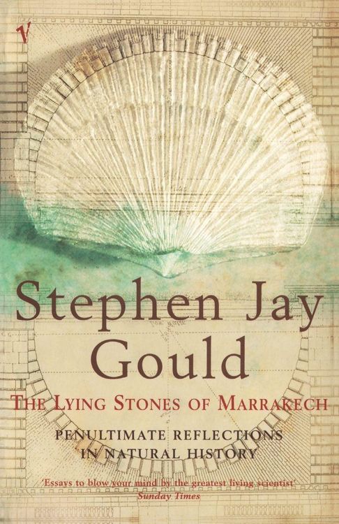 Produktbild: The Lying Stones of Marrakech