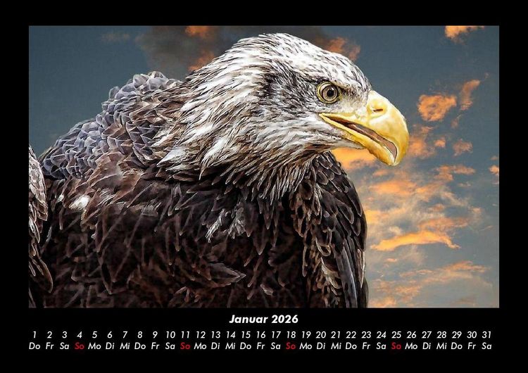 Produktbild: Adler 2026 Fotokalender DIN A3