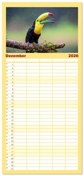 Produktbild: Familienplaner 2026 - Phantastische Vogelwelt Costa Rica mit 5 Spalten (Wandkalender, 21 x 45 cm) CALVENDO