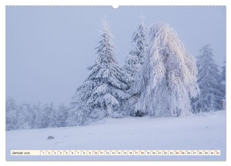 Produktbild: Im Zauber der W&auml;lder (Wandkalender 2026 DIN A2 quer), CALVENDO Monatskalender