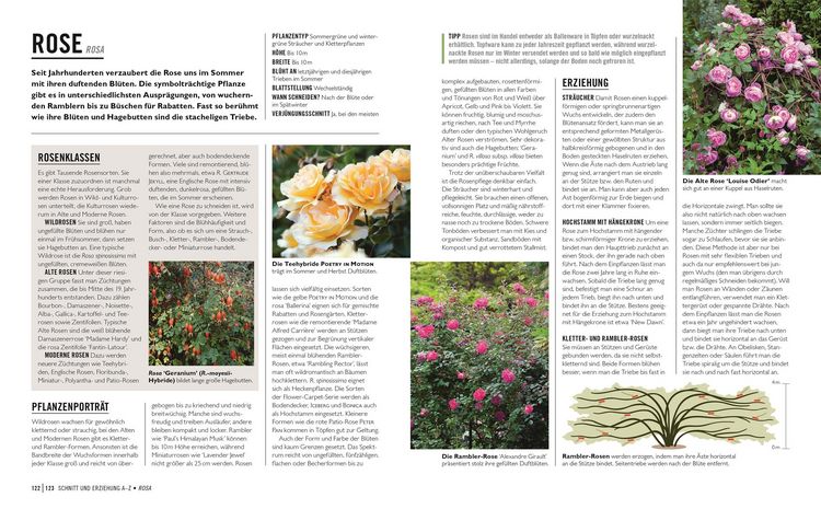 Produktbild: Gr&uuml;nes Gartenwissen. Pflanzen richtig schneiden