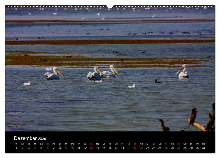 Produktbild: Donaudelta (Wandkalender 2026 DIN A2 quer), CALVENDO Monatskalender