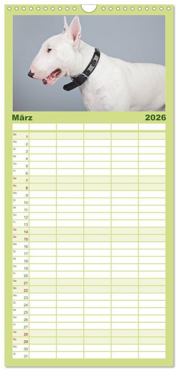 Produktbild: Familienplaner 2026 - Pit Bull und Co. - Geliebt, gef&uuml;rchtet, missverstanden mit 5 Spalten (Wandkalender, 21 x 45 cm) CALVENDO