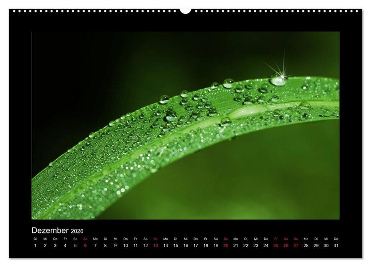 Produktbild: Meine kleine gr&uuml;ne Wassertropfen Welt (hochwertiger Premium Wandkalender 2026 DIN A2 quer), Kunstdruck in Hochglanz
