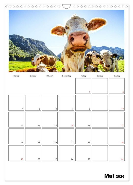 Produktbild: Bayerische Bergwelten (Wandkalender 2026 DIN A3 hoch), CALVENDO Monatskalender