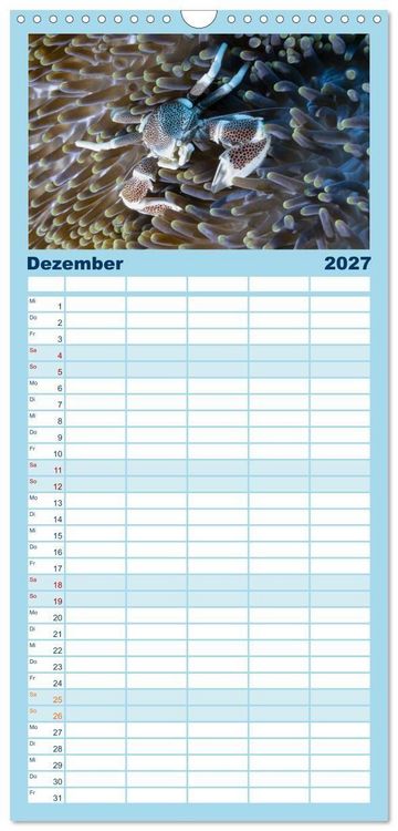 Produktbild: Familienplaner 2027 - Faszination blaue Unterwasserwelt mit 5 Spalten (Wandkalender, 21 x 45 cm) CALVENDO