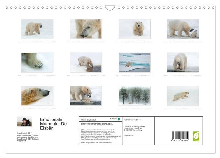 Produktbild: Emotionale Momente: Der Eisb&auml;r. (Wandkalender 2026 DIN A3 quer), CALVENDO Monatskalender