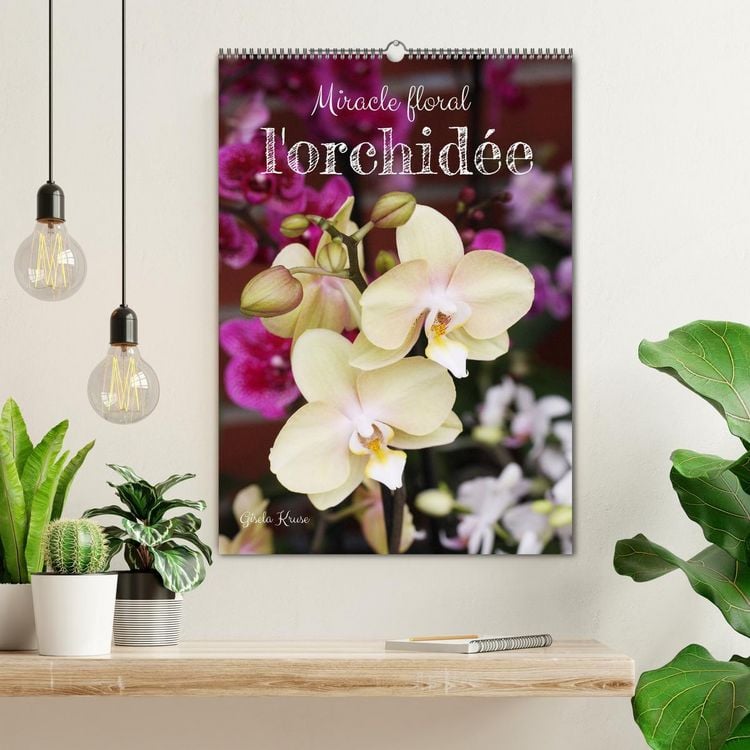 Produktbild: Miracle floral l'orchid&eacute;e (Calendrier mural 2026 DIN A2 horizontal), CALVENDO calendrier mensuel