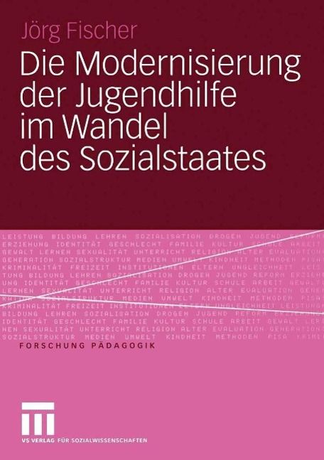 Produktbild: Die Modernisierung der Jugendhilfe im Wandel des Sozialstaates