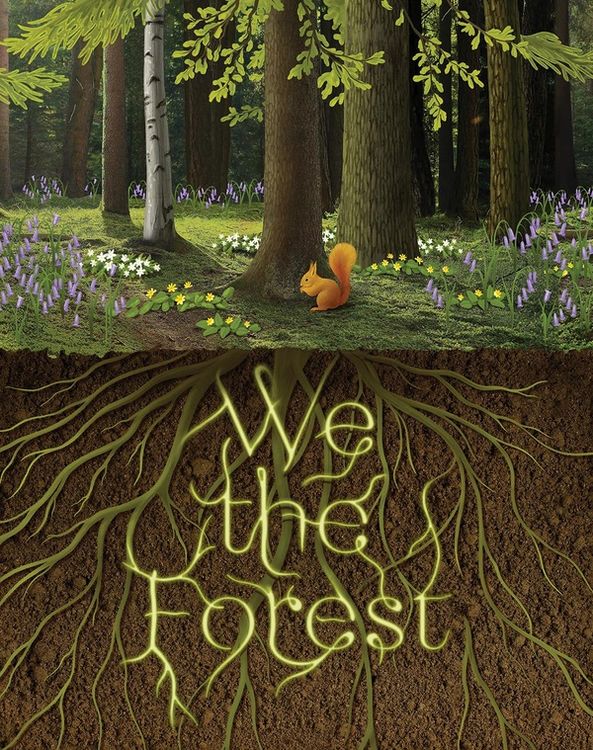 Produktbild: We the Forest