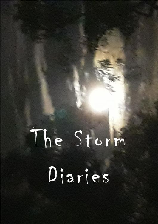 Produktbild: The Storm Diaries
