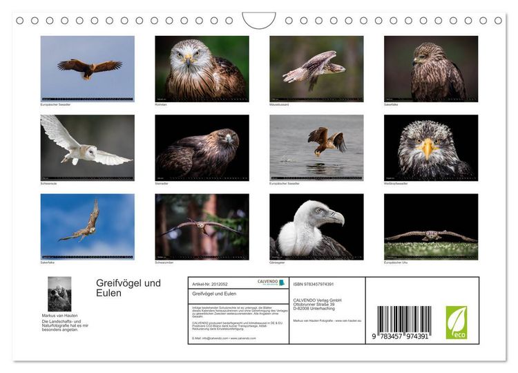 Produktbild: Greifv&ouml;gel und Eulen (Wandkalender 2026 DIN A4 quer), CALVENDO Monatskalender