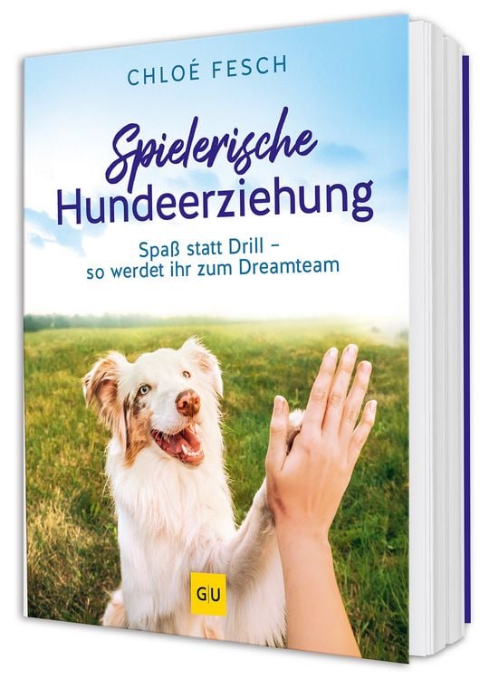 Produktbild: Spielerische Hundeerziehung