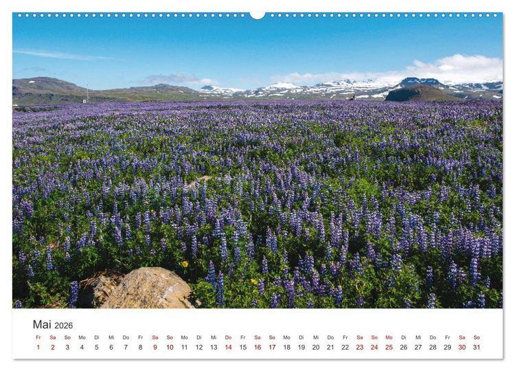 Produktbild: Sommer in Island (Wandkalender 2026 DIN A2 quer), CALVENDO Monatskalender