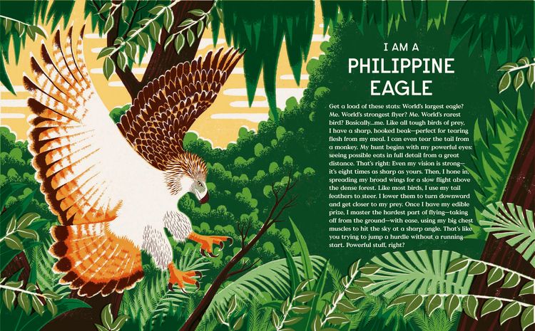 Produktbild: Book of Flight